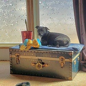 Meet your Posher, Tammy